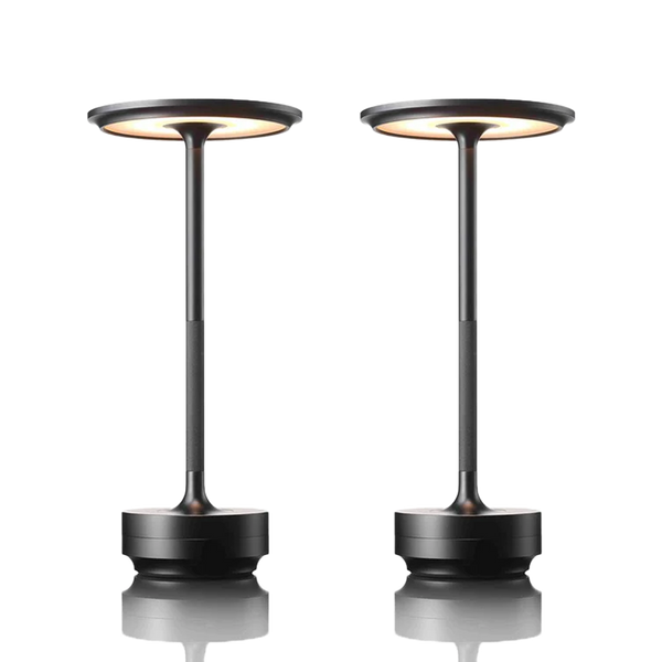 2x Metallic Cordless Table Lamp